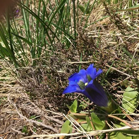 Vue Montagne Avec Wifi Saint-Lary-Soulan