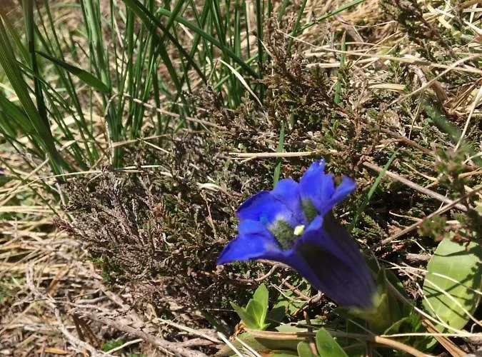 Vue Montagne Avec Wifi 圣拉里苏朗